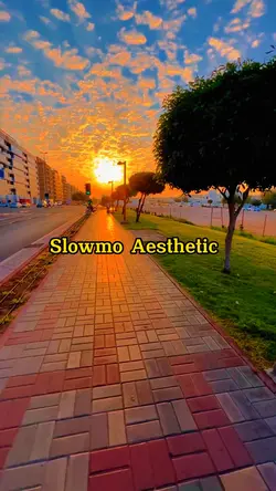 Slowmo Aesthetic 