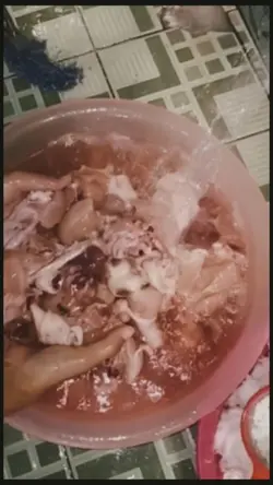 VLOG SINGKAT