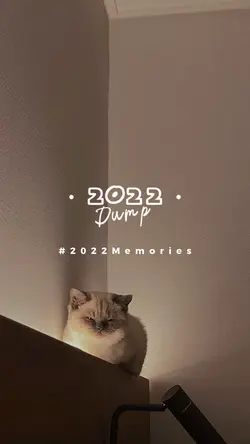 2022 dump 20 foto