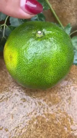 Trái cam