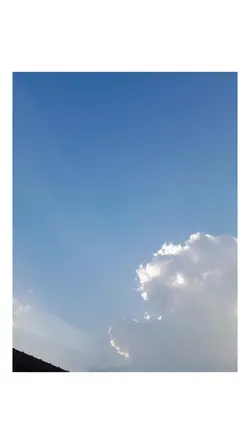 ตามจังหวะ