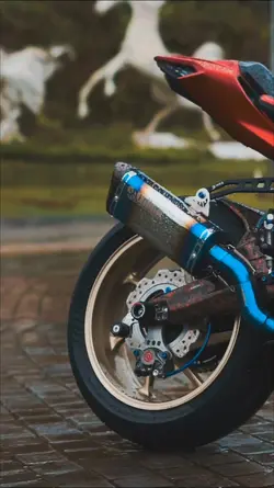 PREMIUM TEMPLATE NYA