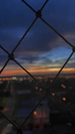 lirikaesthetic