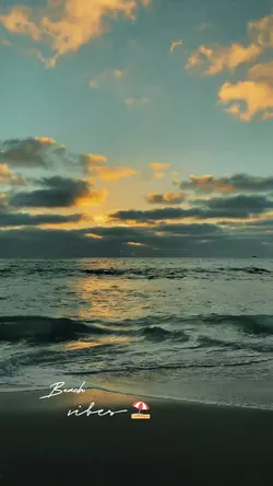 BEACH VIBES 