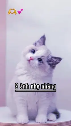 2 ảnh nhẹ nhàng