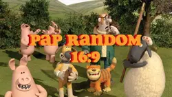 PAP RANDOM