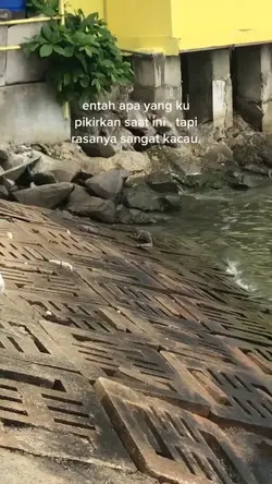 #storywa
