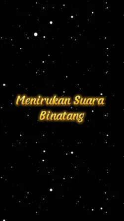 #kucing