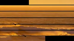 Video chuyển động