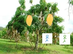 แก้ให้ละ555