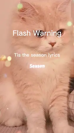 Tis the Season Lyric