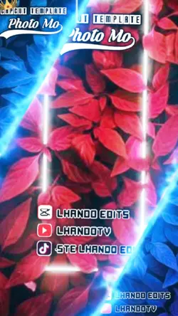 Top Trend No Text