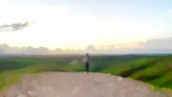 Aesthetic landscape