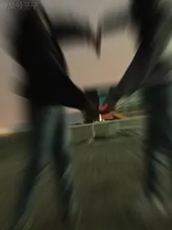 사진은 대략 1:1 비율 사진으로