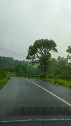 jake enhypen nosense