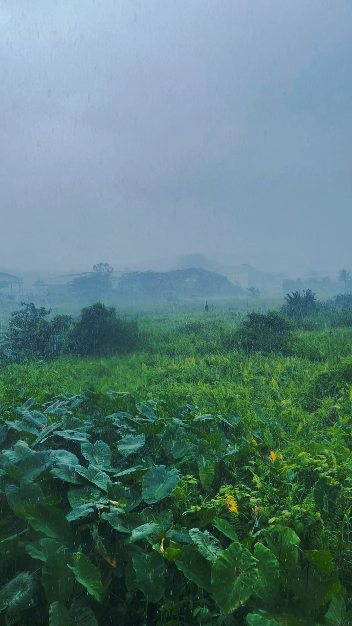 Lluvia