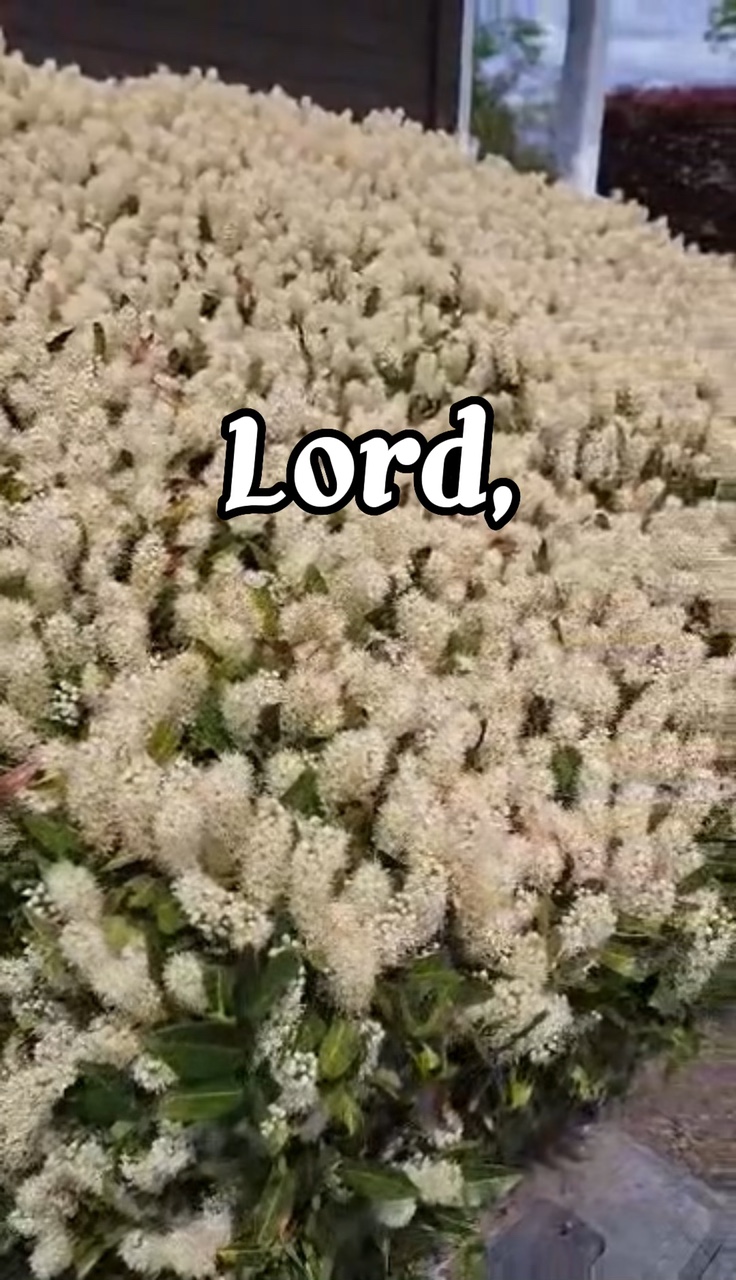 Lord totoo ba? 