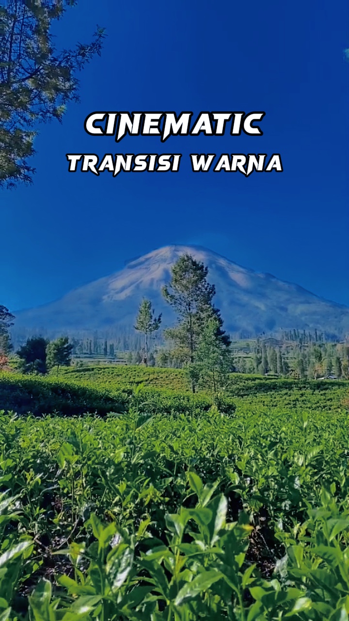 CINEMATIC 1 Video