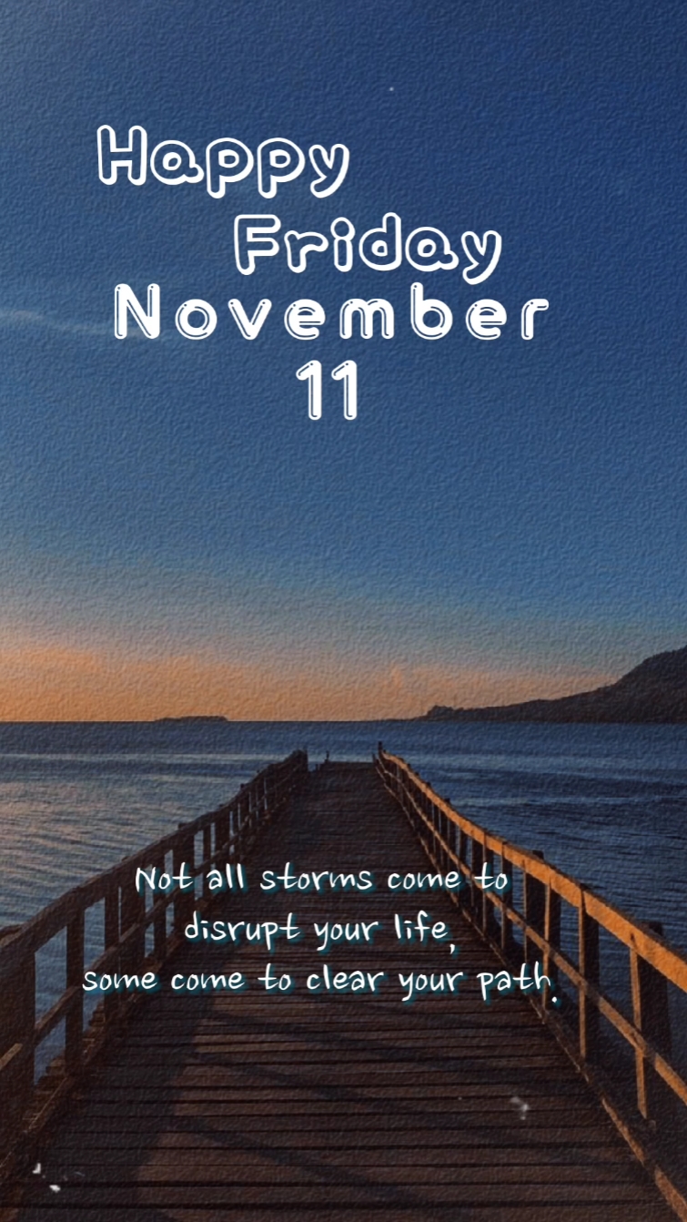 11월 11일 금요일