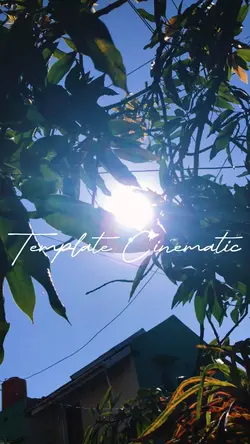 Template Cinematic 