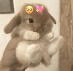 สาวปิยชาติ