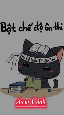 Bật chế độ ôn thi