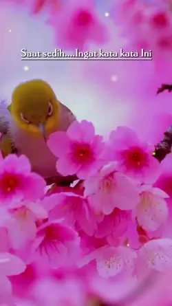 saat sedih...