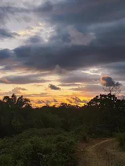 filter goyang goyang