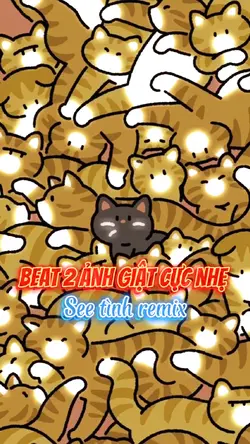 Beat 2 ảnh