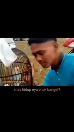 meme viral