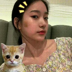 lucuu