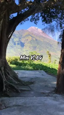 VLOG TODAY 29.01
