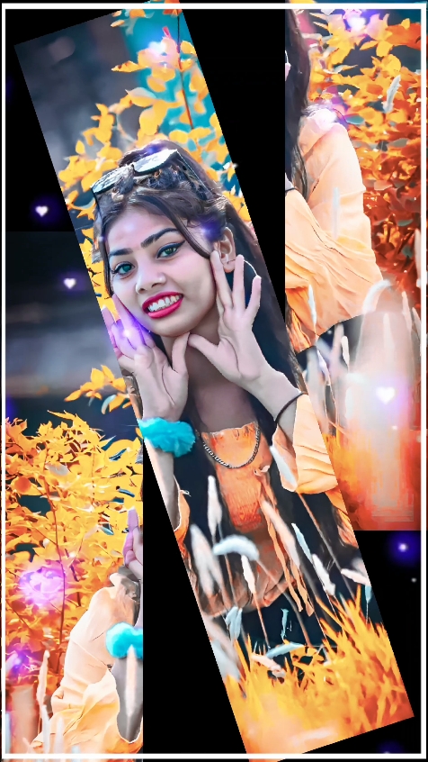 Barbad Vaini Rani