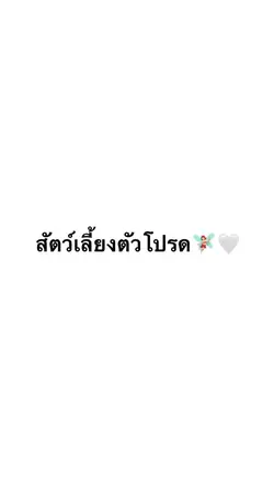 สัตว์ตัวโปรด