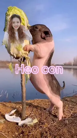 Heo con