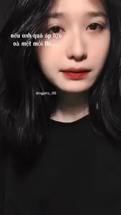 mẫu videos dừng hình