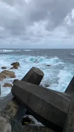 2 video 7 photo
