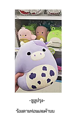 ซูลูปรุงv.2