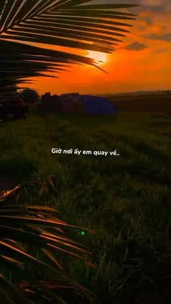 Mẫu lyric tâm trạng 