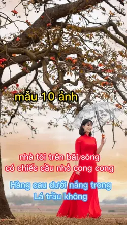 10 ảnh nhà tôi