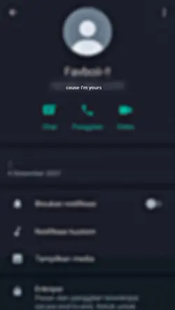 #chatblur