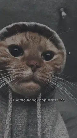 MOTIVATIONAL MESSAGE