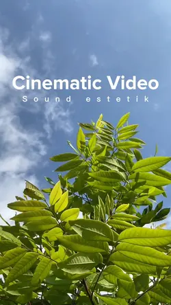Cinematic Simple