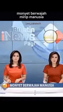 monyet berwajah