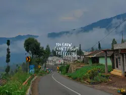 LANDSCAPE ESTETIC