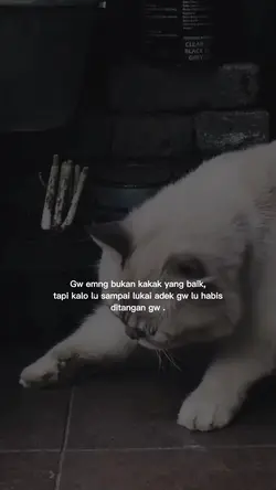 Bukan kakak yg baik