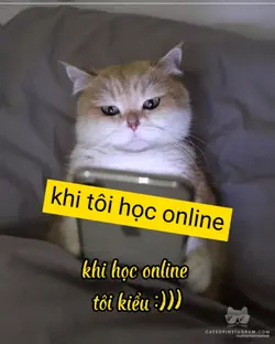 Khi tôi học onl