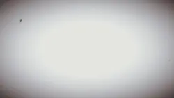 8 PIC + LYRICS 