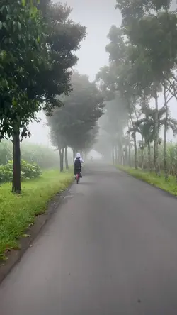 di sini di batas