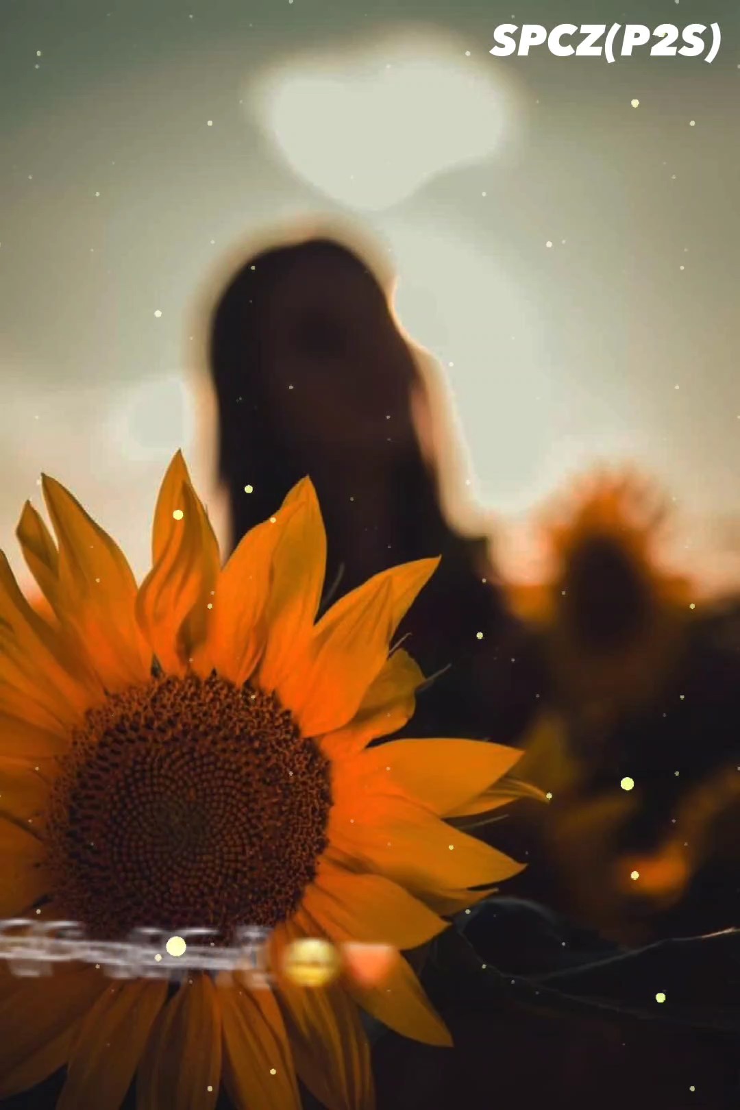 ရင်ခုန်သံတွေ........